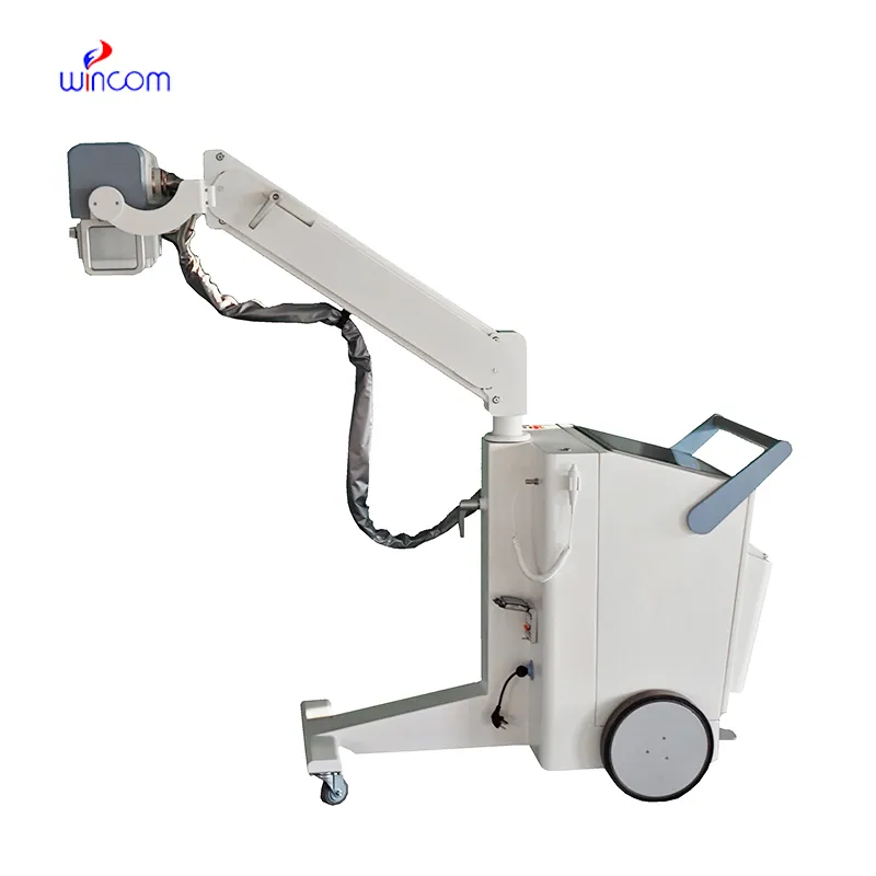 Care & Maintenance of water bath tomatoes canning